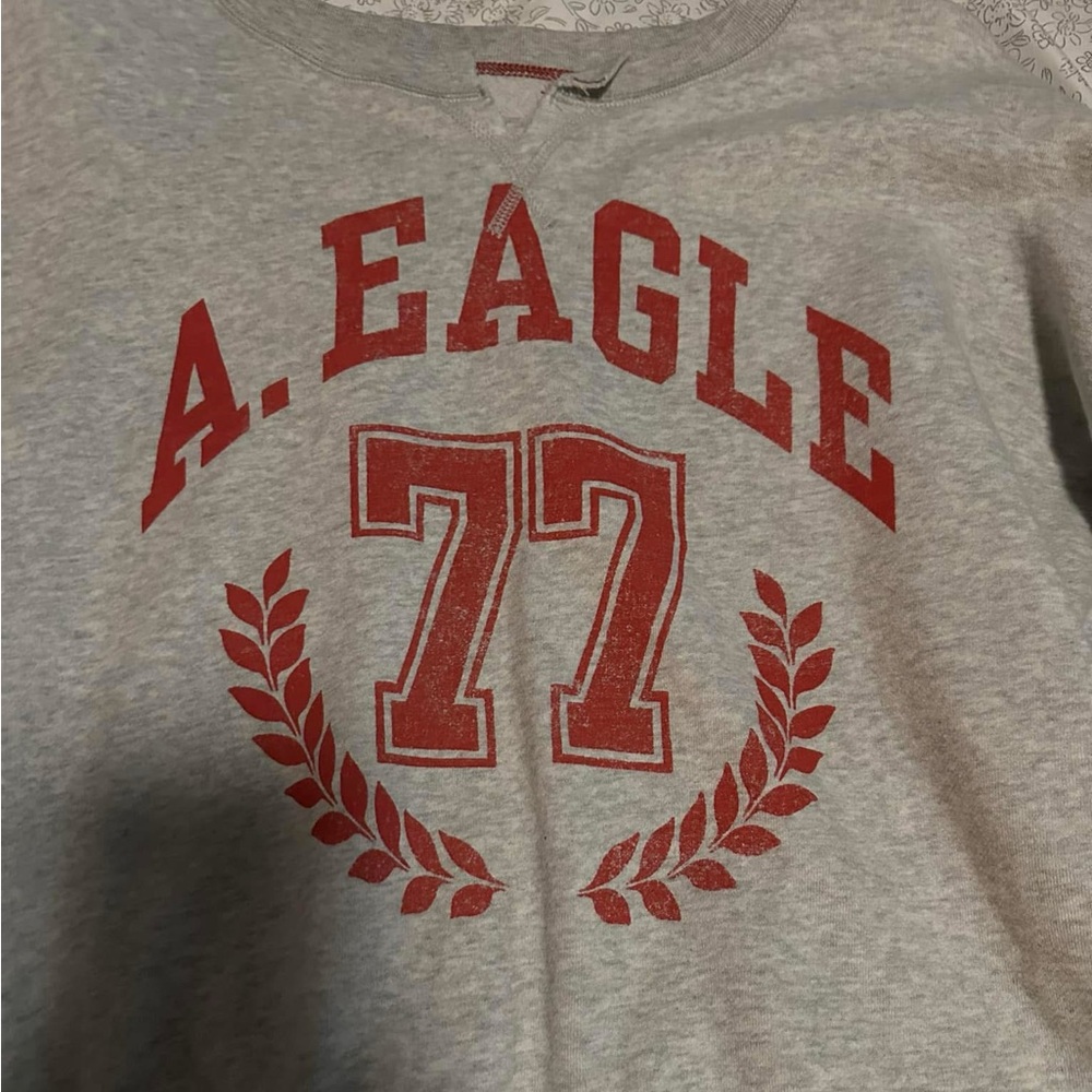 american eagle sweatshirt